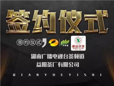 湘益茯，美茗揚(yáng) 丨湘益茯茶與茶頻道達(dá)成長期戰(zhàn)略合作