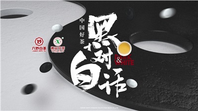 首屆黑白對(duì)話高峰論壇圓滿落幕！湘益茯茶備受關(guān)注！